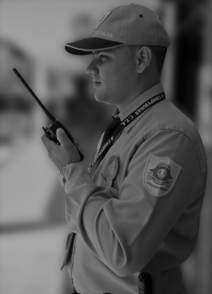 Vigilantes en Fabrica